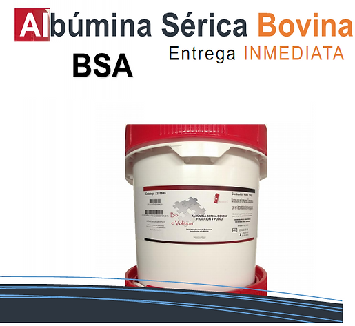 Albumina FV_2021_web.png